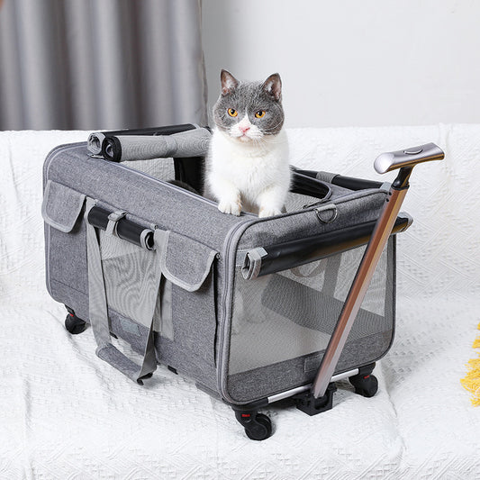 Fashion Personalized Foldable Cat Pet Bag
