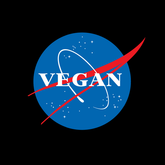 73853128